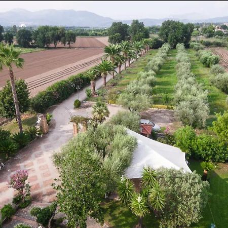 Villa Rosa Lifestyle B&B Sessa Aurunca Εξωτερικό φωτογραφία
