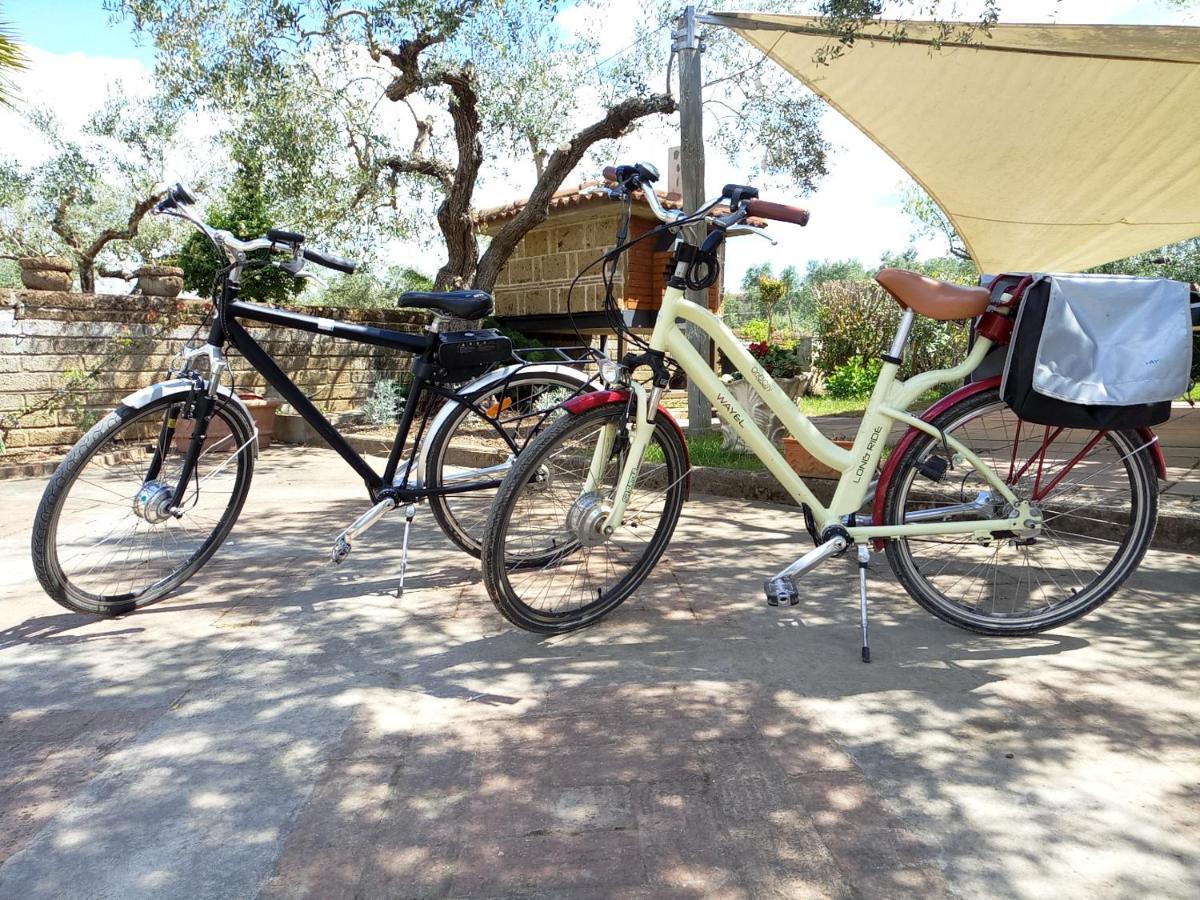 Villa Rosa Lifestyle B&B Sessa Aurunca Εξωτερικό φωτογραφία
