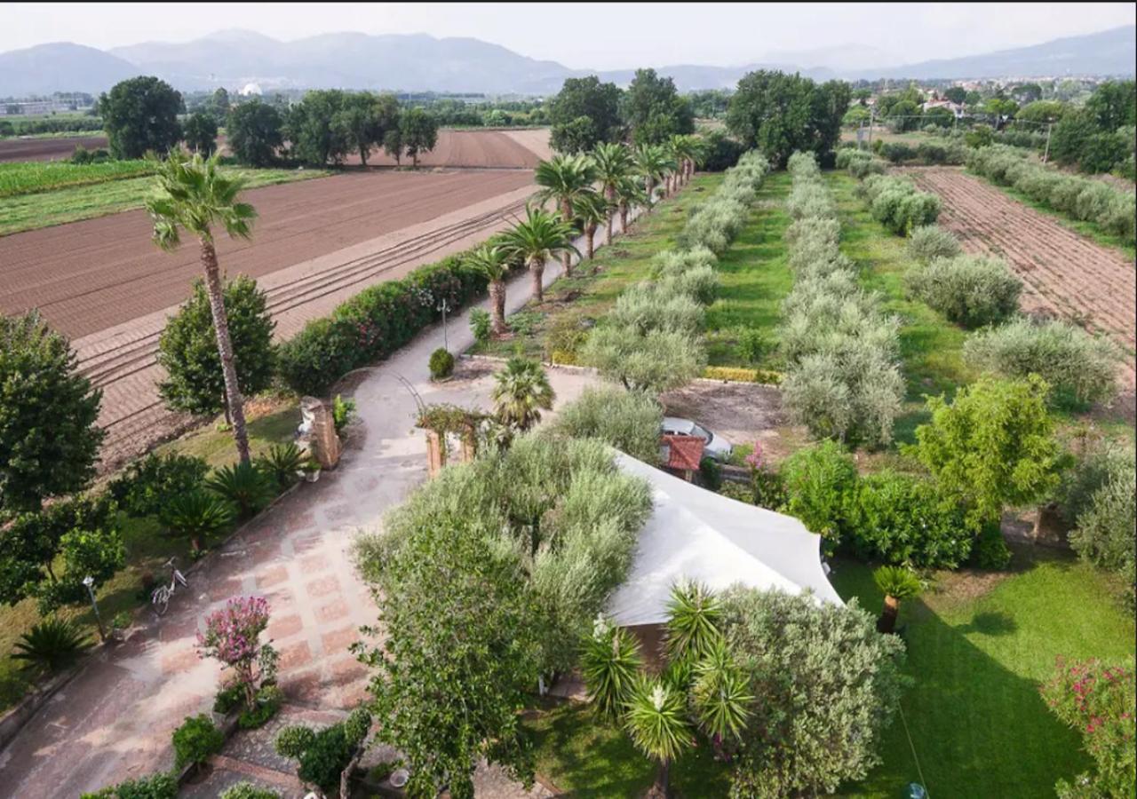 Villa Rosa Lifestyle B&B Sessa Aurunca Εξωτερικό φωτογραφία