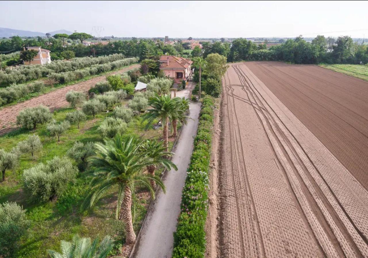 Villa Rosa Lifestyle B&B Sessa Aurunca Εξωτερικό φωτογραφία