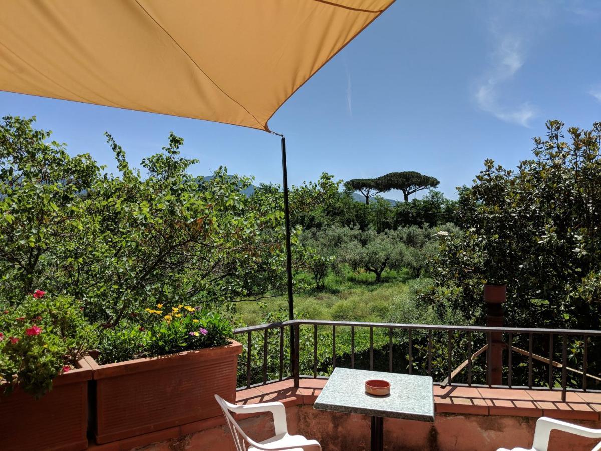 Villa Rosa Lifestyle B&B Sessa Aurunca Εξωτερικό φωτογραφία